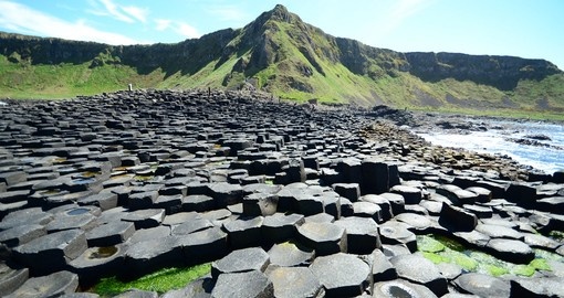 The Giant's Causeway will be a highlight of your Ireland tour