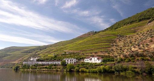 The Douro Valley is the oldest demarcated wine region in the world