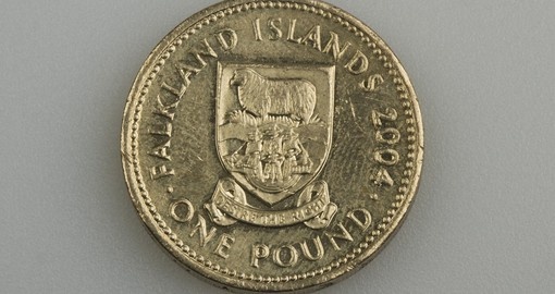 One pound of the Falkland Islands in 2004