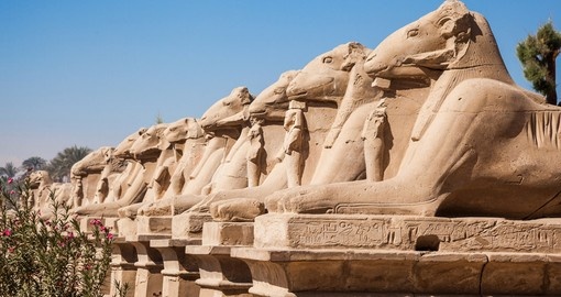 Enjoy avenue of the ram-headed Sphinxes on your next Egypt tours.