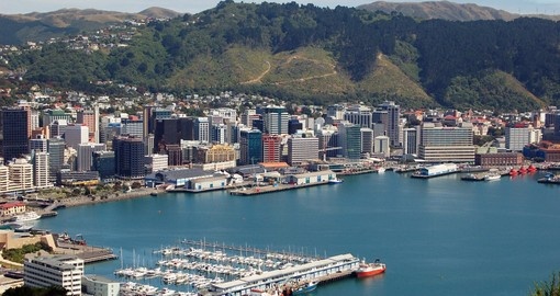 Wellington Harbour taken from Mount Victoria