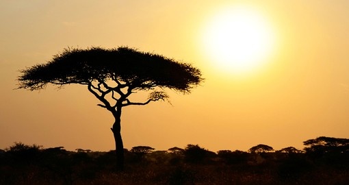 The rising sun in Serengeti