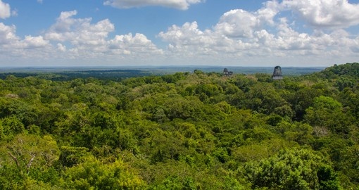 View over the rainforest from a ruin in Tikal
