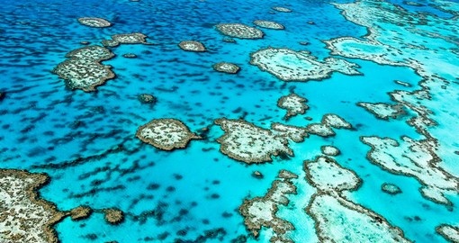 Australia's Great Barrier Reef is the world's largest reef system and a must visit on all Australia tours.