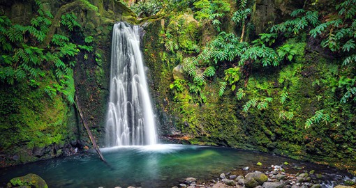 On the eastern edge of Sao Miguel, Salto do Prego Waterfall is in a natural rainforest