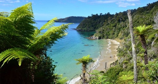 30 kilometres south of the South Island, Stewart Island is a unique part of your New Zealand tour