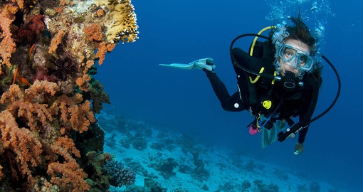 Go scuba diving on your Belize vacation