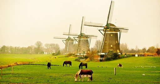You will visit beautiful Dutch windmills during your Netherlands vacation.
