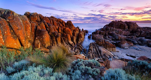 Take a dip in the clear blue waters of Tasmania's Beerbarrel Beach