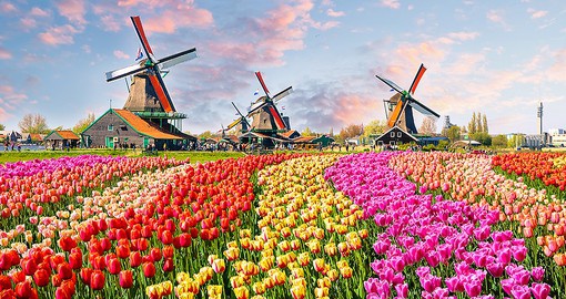 Step into the countryside to admire fields of the Netherlands' national flower, the tulip