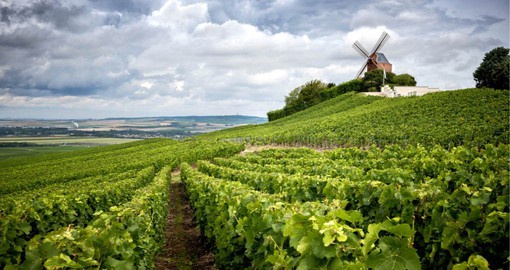 The Champagne region is known for the sparkling wine that bears its name