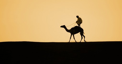 Camel surfing