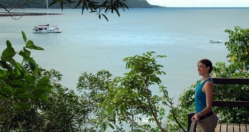 Jungle Tours at Cape Tribulation is part of your New Zealand Vacation
