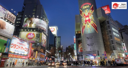 Enjoy the bright lights of Tokyo on your Japan tour