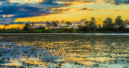 Colorful sunset in Pantanal