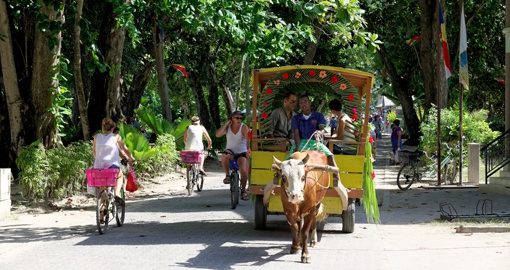 On La Digue Island there are few cars, but bicycles and ox carts are a common form of transport