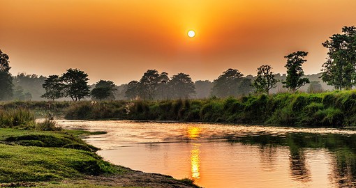 Explore the natural world of Chitwan National Park, housing endangered animals such as the one-horned rhino