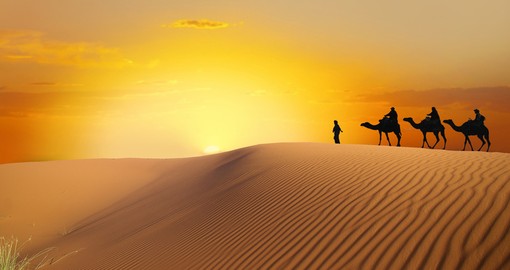 Travel the Saharan Dunes