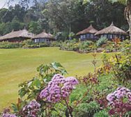 Ambua Lodge grounds