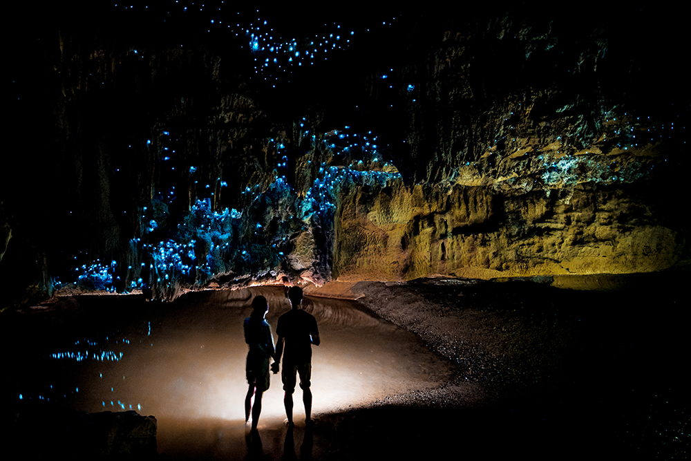 Waitomo Caves in New Zealand