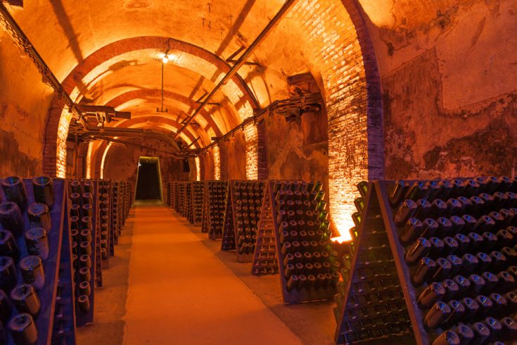 Rows of champagne bottles during fermentation process in a cellar in Reims