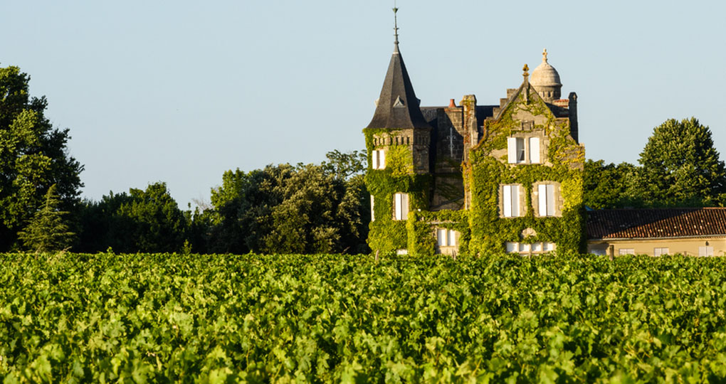 Bordeaux chateau vineyard