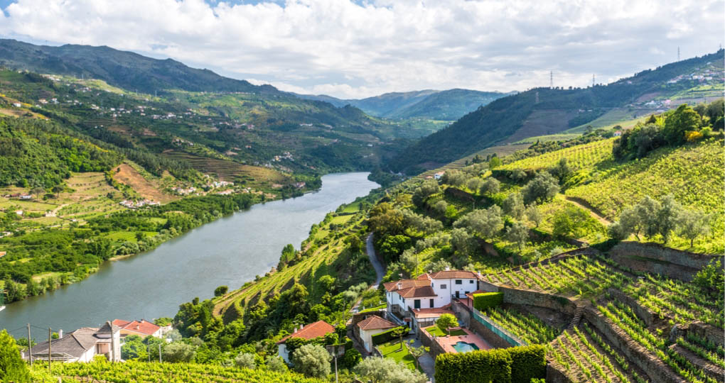 Douro River Vinelands in Portugal