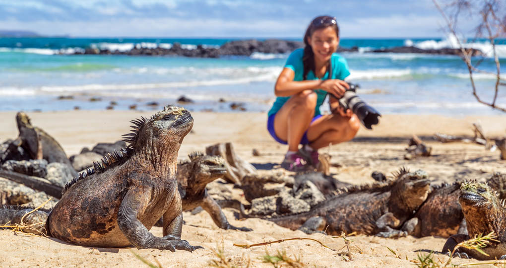 Woman watching iguanas in the Galapagos Islands